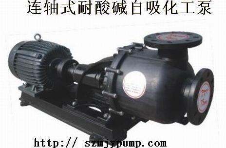 连接式耐酸碱化工自吸泵